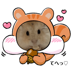 [LINEスタンプ] ほっこりハムスター♡日常会話④