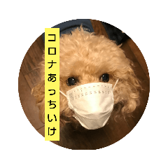 [LINEスタンプ] kotechin