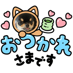 [LINEスタンプ] かえで(♡ˊᵕˋ♡)