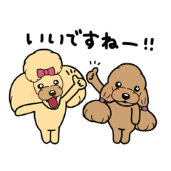 [LINEスタンプ] トイプーモモ＆リンの仲良しスタンプ