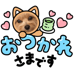[LINEスタンプ] ポメプーのシフォン3