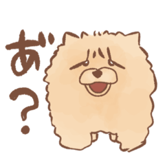 [LINEスタンプ] チャウチャウのこうたくん