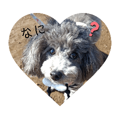 [LINEスタンプ] めいの幸せな毎日の日常