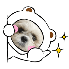 [LINEスタンプ] カムイくん