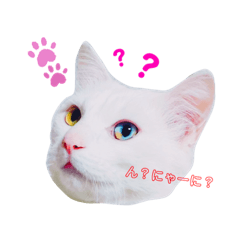 [LINEスタンプ] キキララくん