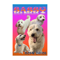 [LINEスタンプ] SASUKEスタンプ2