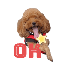 [LINEスタンプ] うちのいぬいぬスタンプ