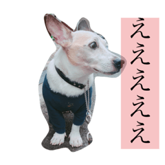 [LINEスタンプ] うちの子龍2