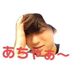 [LINEスタンプ] いぬたぬき2【非公式】
