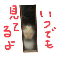 [LINEスタンプ] 猫くんとトム1(増)