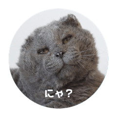 [LINEスタンプ] 福来(フック船長) 2