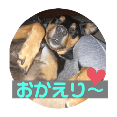 [LINEスタンプ] 4つ目のラッキーちゃん 4