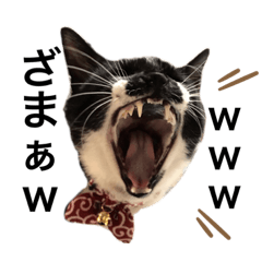 [LINEスタンプ] タキシードキャット No.01