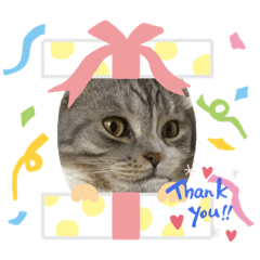 [LINEスタンプ] おもちとおはぎのスタンプ2