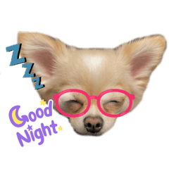 [LINEスタンプ] ポメチワ ペコちゃん(*´˘`*)❤