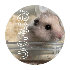 [LINEスタンプ] 同居人のネズミ 第二弾