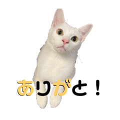 [LINEスタンプ] ゆき＆あめ