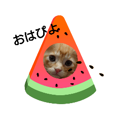 [LINEスタンプ] グミのカワいいスタンプ