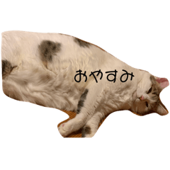 [LINEスタンプ] かゆちのFPSすたんぷ5