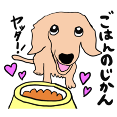 [LINEスタンプ] シニア犬(17)ティアラの日常