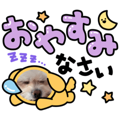 [LINEスタンプ] ルナ！ブラン！
