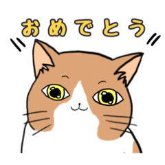 [LINEスタンプ] ご近所のノラ猫さん。日常編