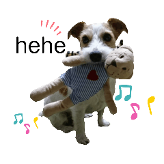 [LINEスタンプ] Jack  Russell  terrier