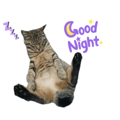 [LINEスタンプ] びちさん