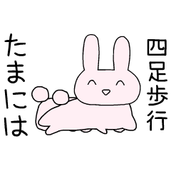 [LINEスタンプ] 面白いうさぎちゃん