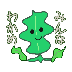 [LINEスタンプ] わかめ！wakame！