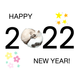 [LINEスタンプ] 白＆寅猫 あけおめお正月スタンプ2022