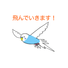 [LINEスタンプ] 青いセキセイインコスタンプ