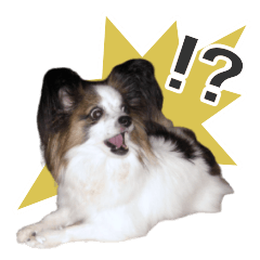 [LINEスタンプ] キャンディの使いやすいスタンプ