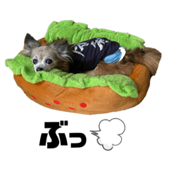 [LINEスタンプ] 愛犬ごくぅのスタンプ②