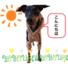 [LINEスタンプ] うちのべむ。