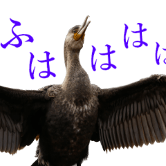[LINEスタンプ] 水鳥スタンプですねぇ。