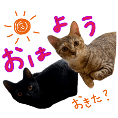 [LINEスタンプ] しいこたむつ第3弾