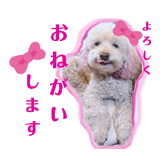 [LINEスタンプ] ぷーちゃんず2