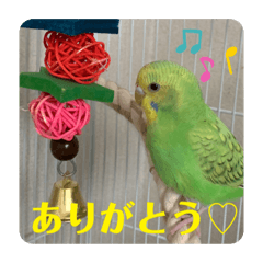 [LINEスタンプ] ゆきちゃん宅スタンプ18