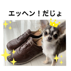 [LINEスタンプ] 犬ズのスタンプ