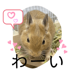 [LINEスタンプ] 天ちゃんその1