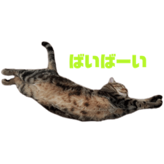 [LINEスタンプ] けんたろうのスタンプ2