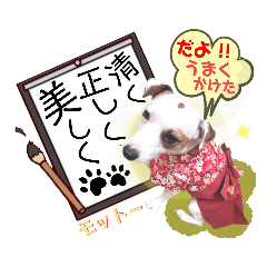 [LINEスタンプ] 愛犬♡ハナコのスタンプ17