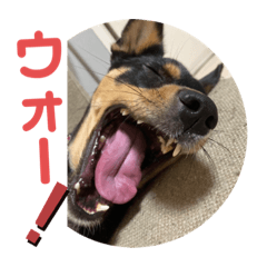 [LINEスタンプ] 4つ目のラッキーちゃん 3