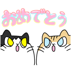 [LINEスタンプ] 佐々木さんちのねこ