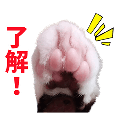 [LINEスタンプ] アランくん2