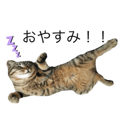 [LINEスタンプ] クロコタびったん