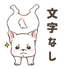 [LINEスタンプ] ぽてぽてチワワ 文字なしスタンプ