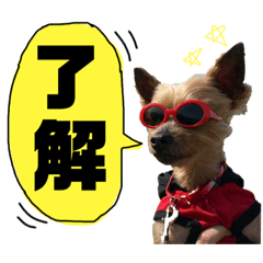 [LINEスタンプ] うちのあいどるちゃん