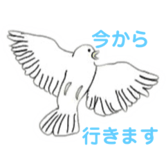 [LINEスタンプ] なぞの鳥たちのスタンプ